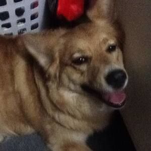 Meet your Posher, Marcela